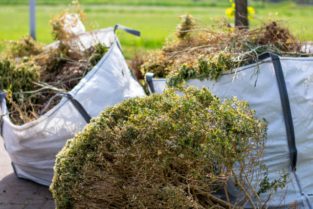 Best Construction Debris Removal  in Germantown Hls, IL